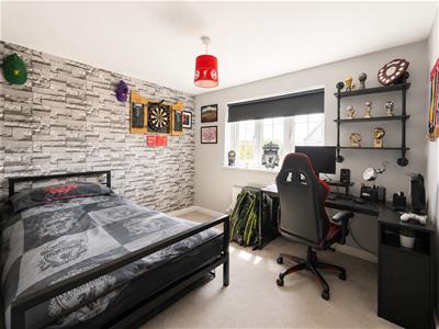 Picture 17
